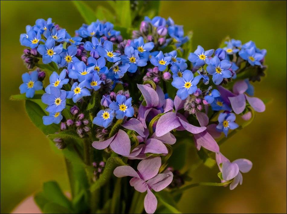 , Бурлов Андрей