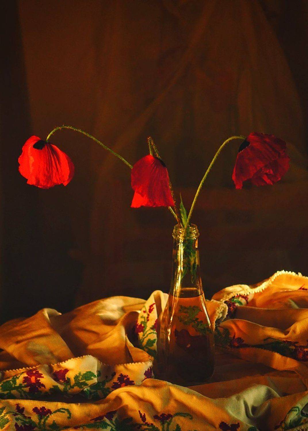 flowers,still llife,poppies, mustafa yagci