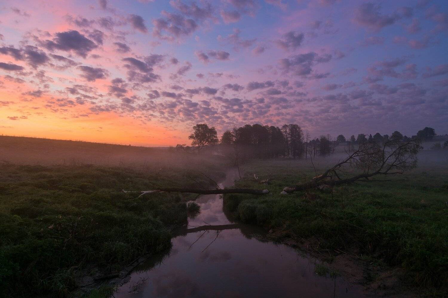 , Руслан Сигушин