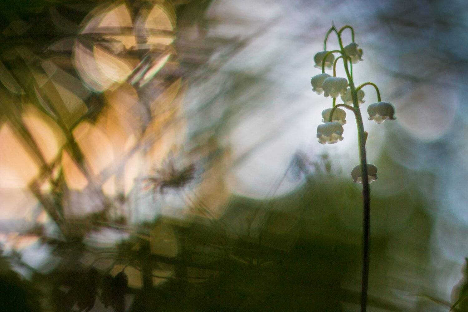 , Руслан Востриков