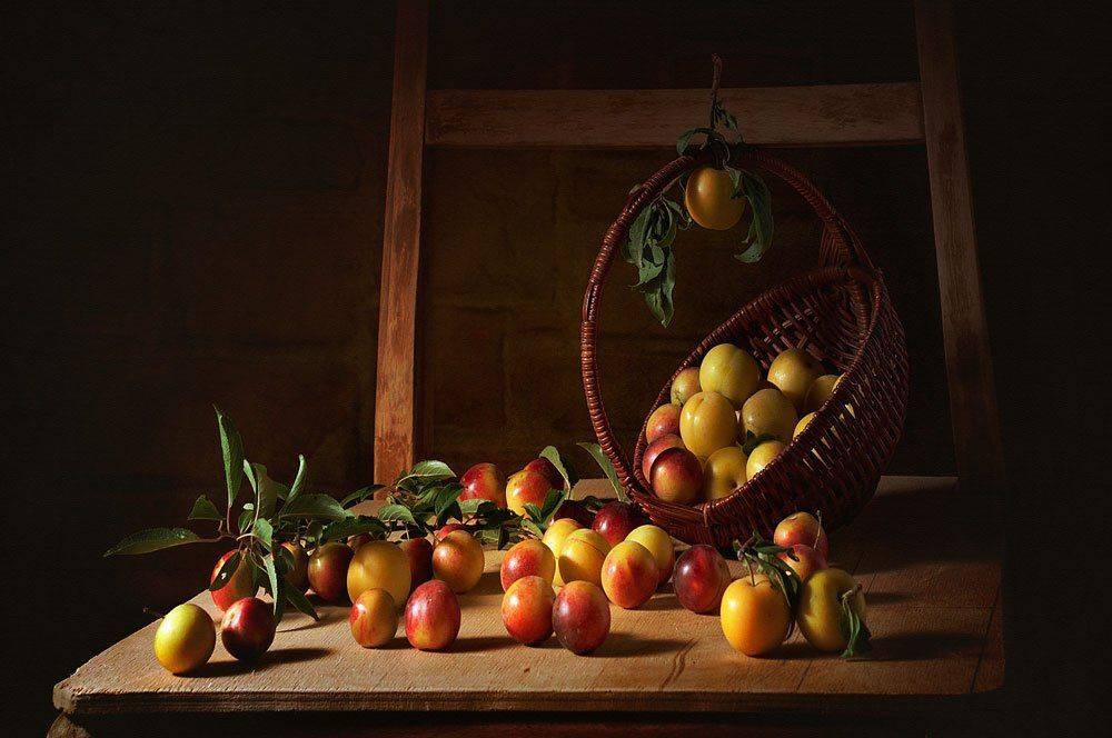 , Анжелика Королева