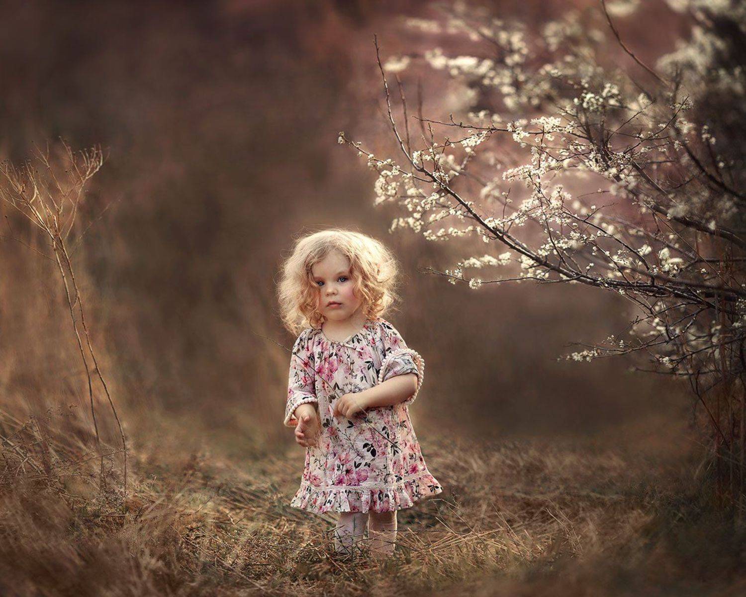 , Жилина Ирина