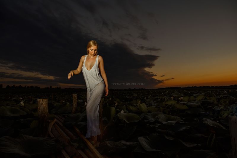 девушка ночь закат озеро лотосы красиво Закат над озером лотосов фото превью