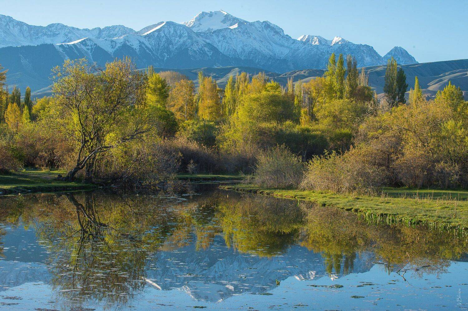 , Блинов Василий