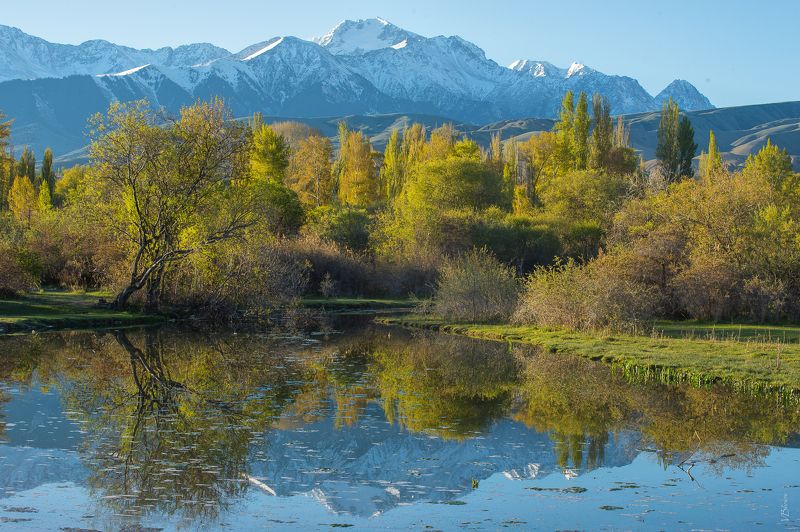 *** фото превью