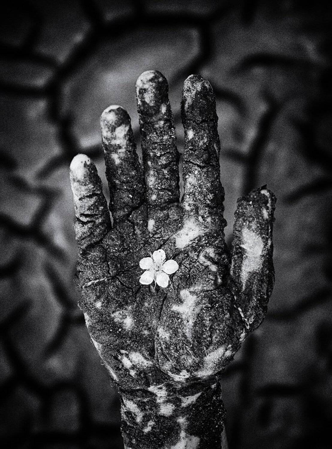 украина, коростыше, Александр Чорный