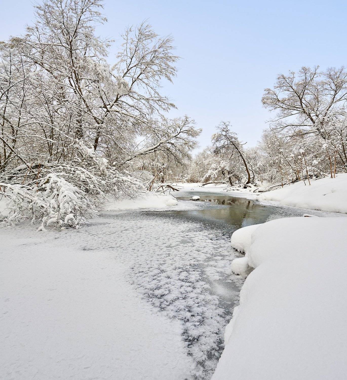 , Бурцев Дмитрий