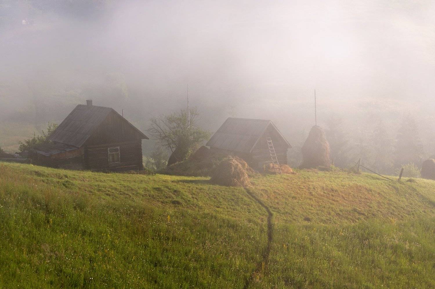 , Эдуард Гордеев