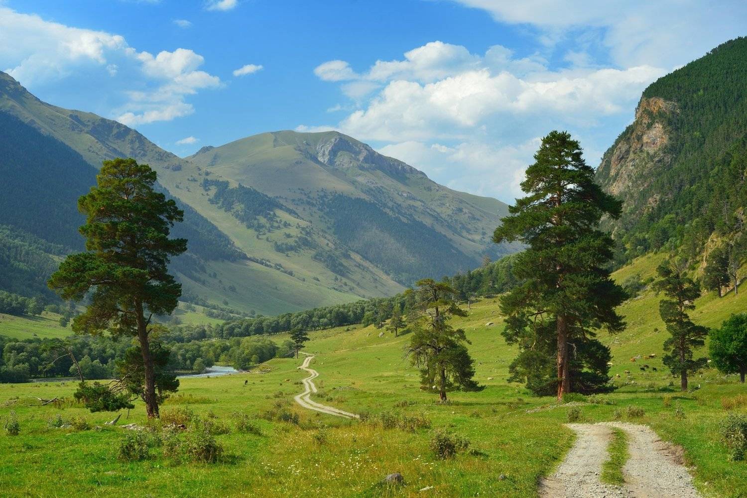 горы лето дорога, Александр Жарников