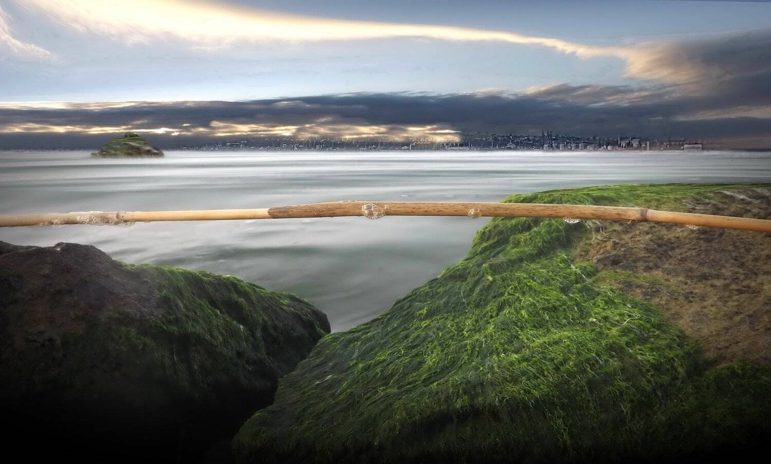 одесса, Сергей Кошелев