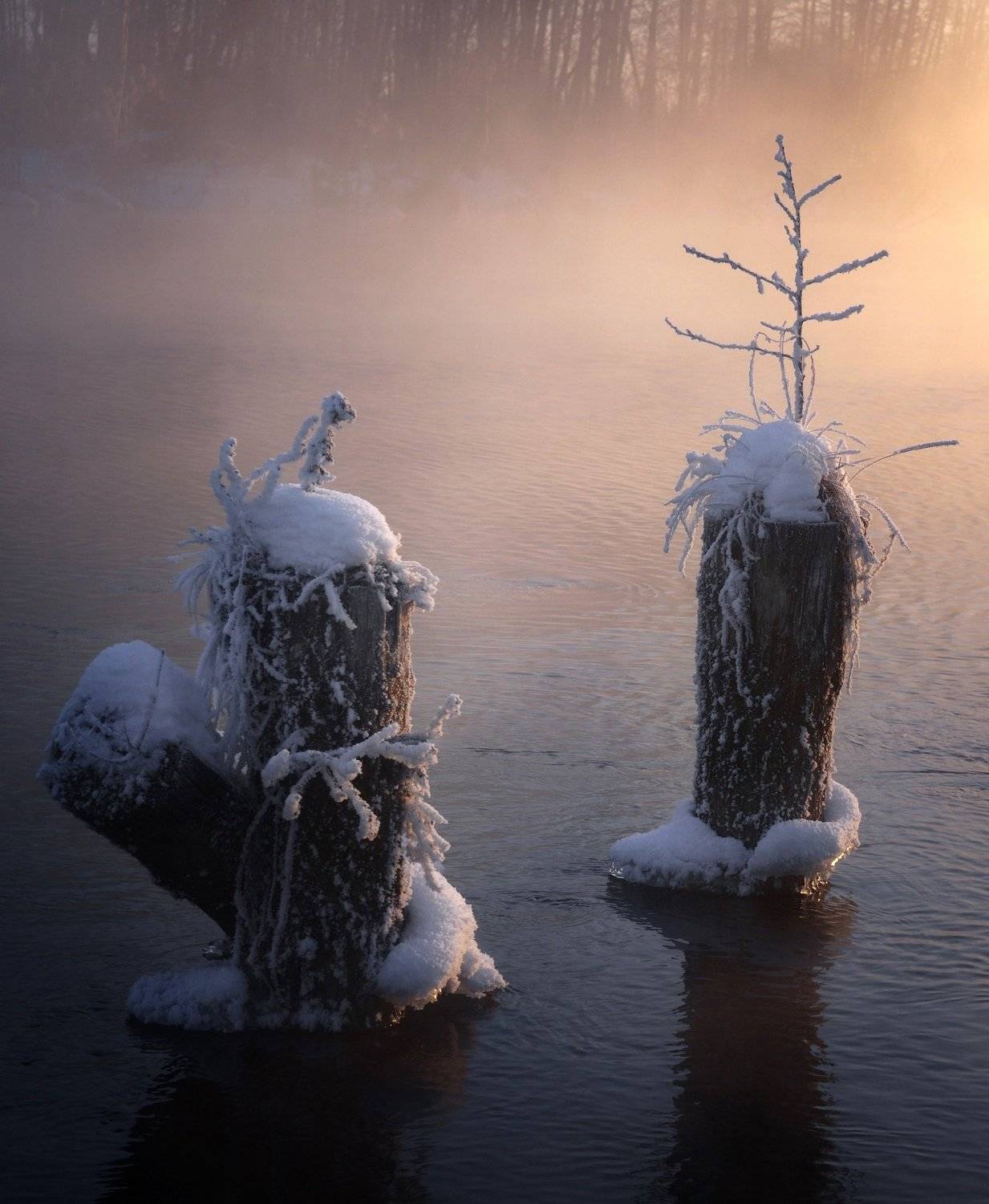, Александр Пархоменко