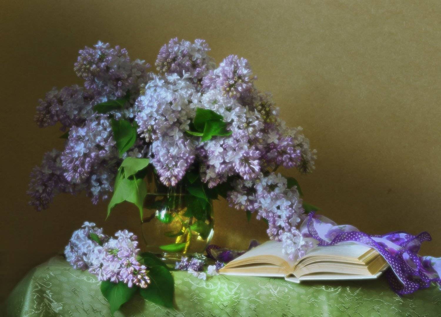 фото натюрморт, стихи, сирень, обработка размытием, май, зинаида гиппиус, весна, Колова Валентина