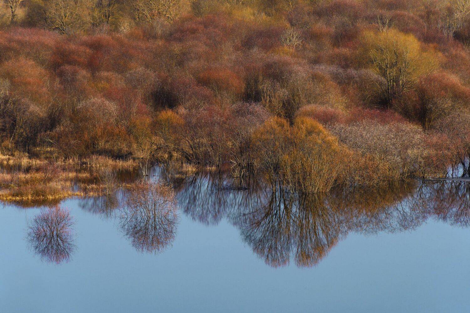 елатьма, весна, рязань, разлив, Владимир Штыриков