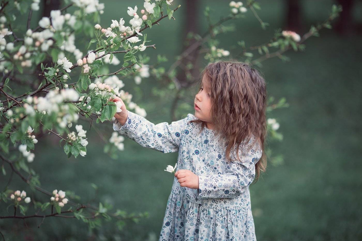 , Александра Дуке