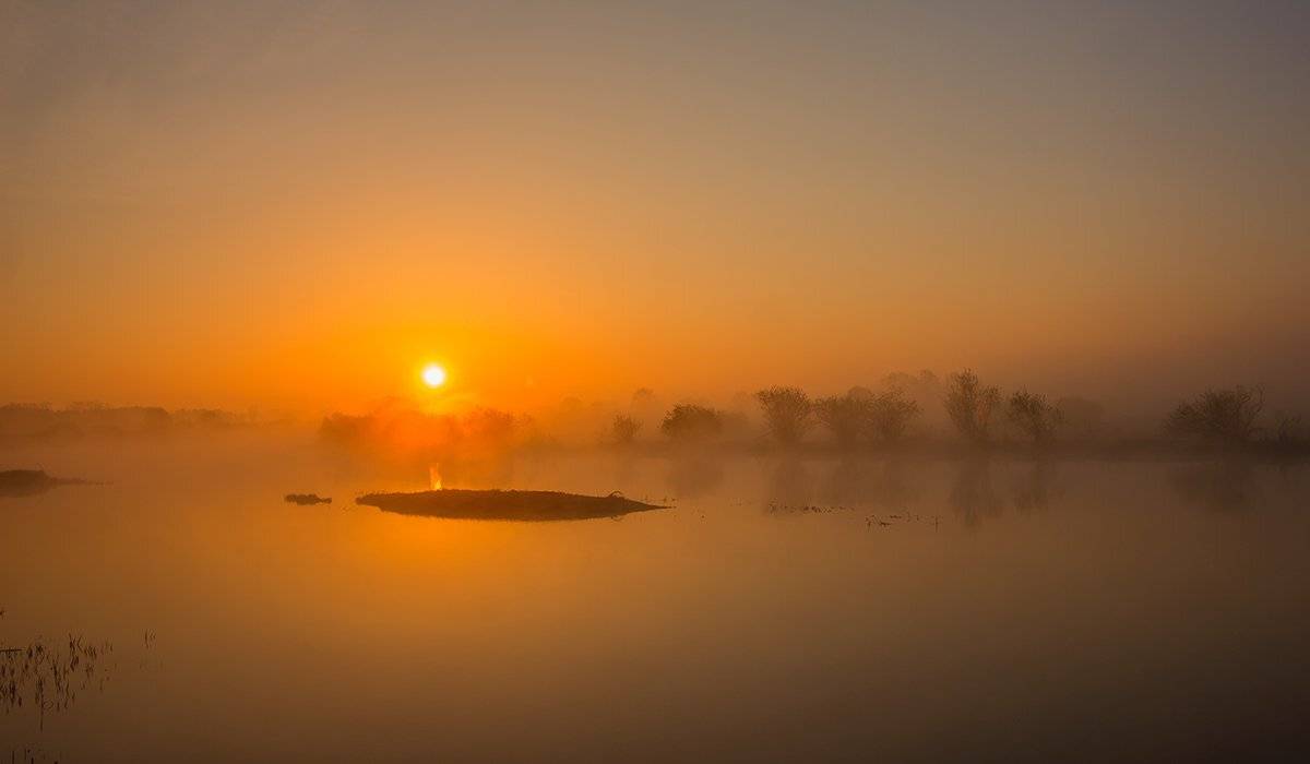 , Pawel Plucinski