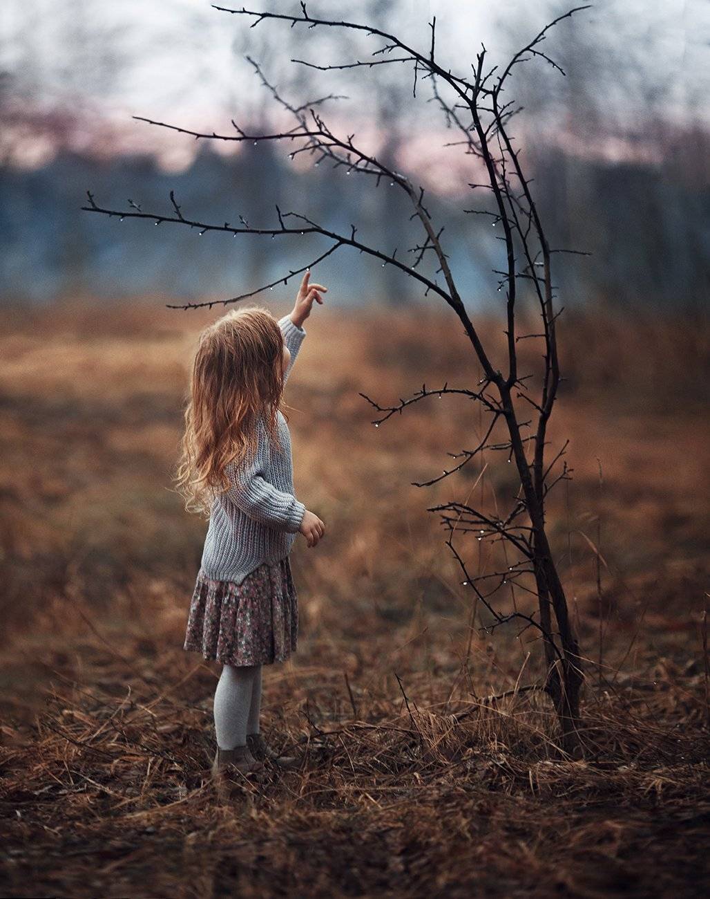 , Баталов Алексей