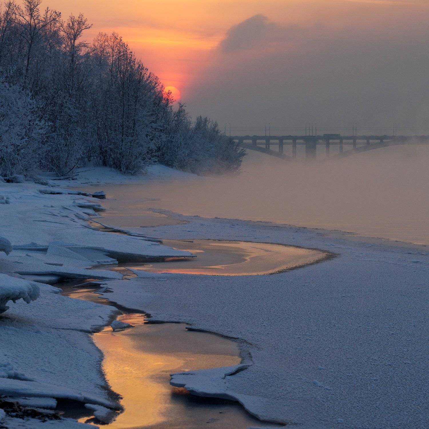 , Криволуцкий Игорь