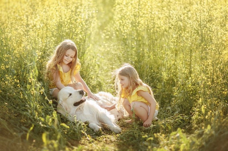 Солнечное настроение фото превью