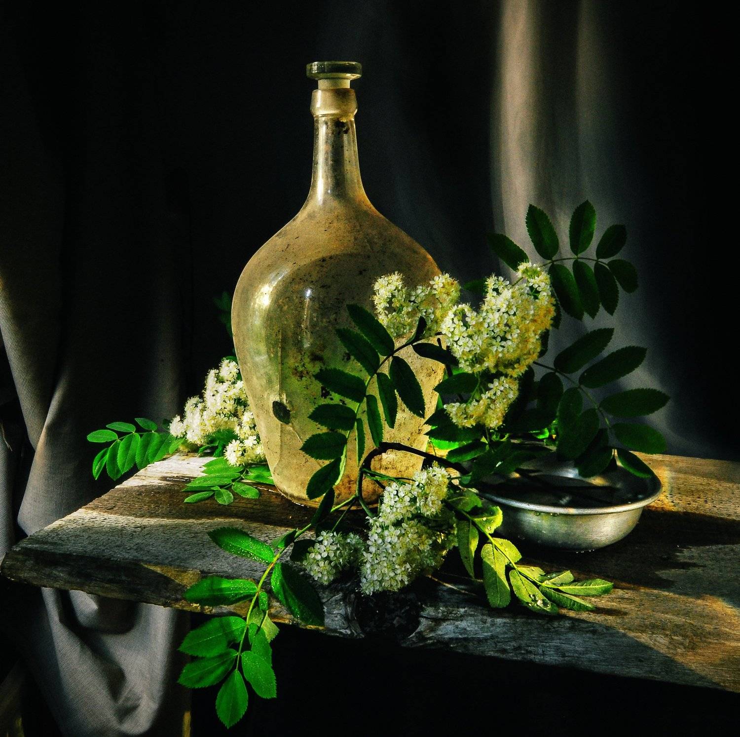 , Харитонова Елена