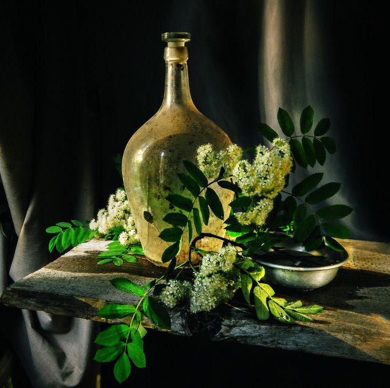 *** фото превью