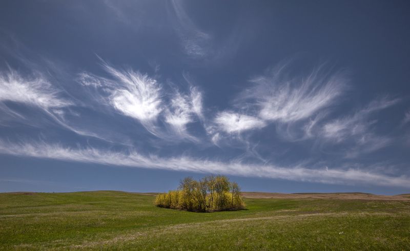 ветер, май, облака, небо, поле, трава, оренбуржье Ветер мая фото превью