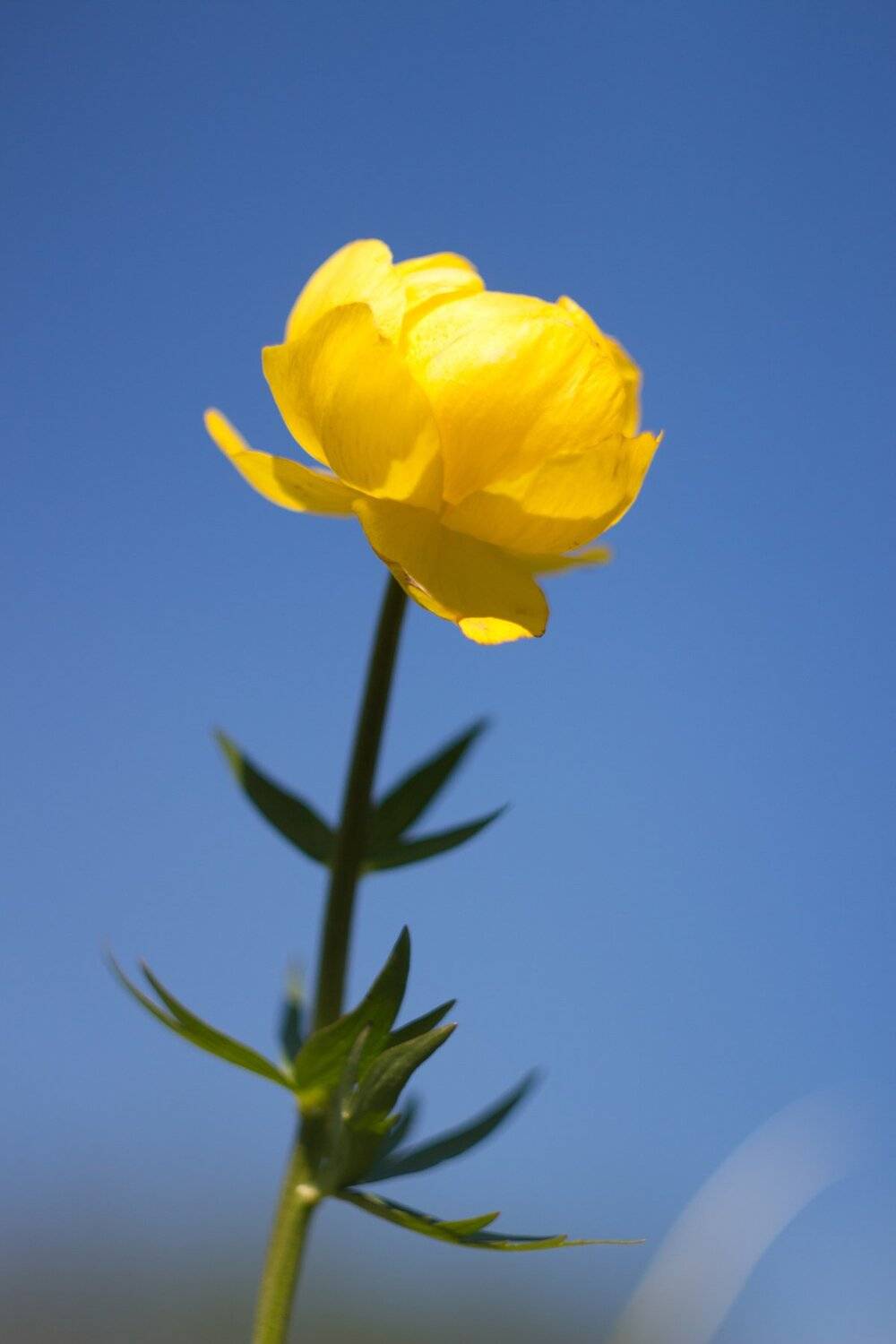 , Руслан Востриков