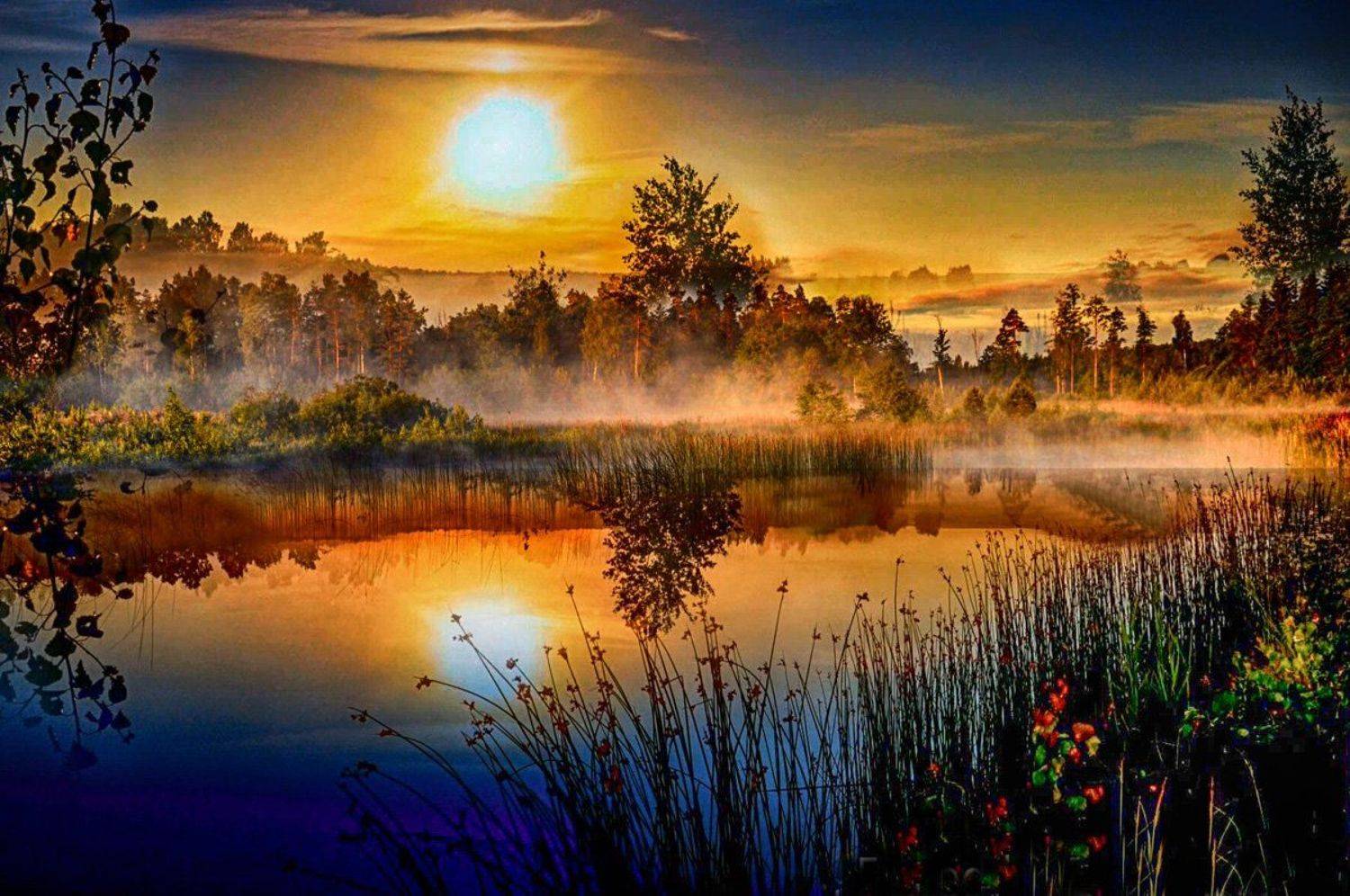 туман, Rimantas Petrikas