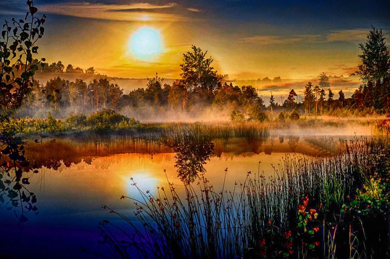 туман Утренний туман фото превью