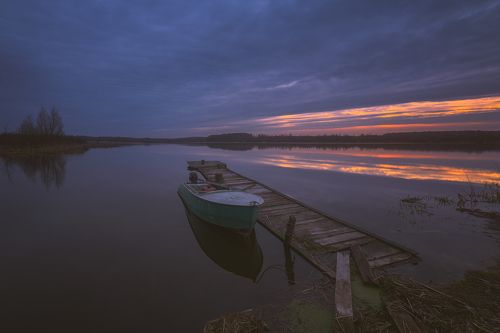 В предрассветный час...