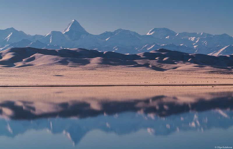 тузколь, озеро, тянь-шань, утро, горы, рассвет, осень, пик хан-тенгри, пик победы Осеннее утро на озере Тузколь фото превью
