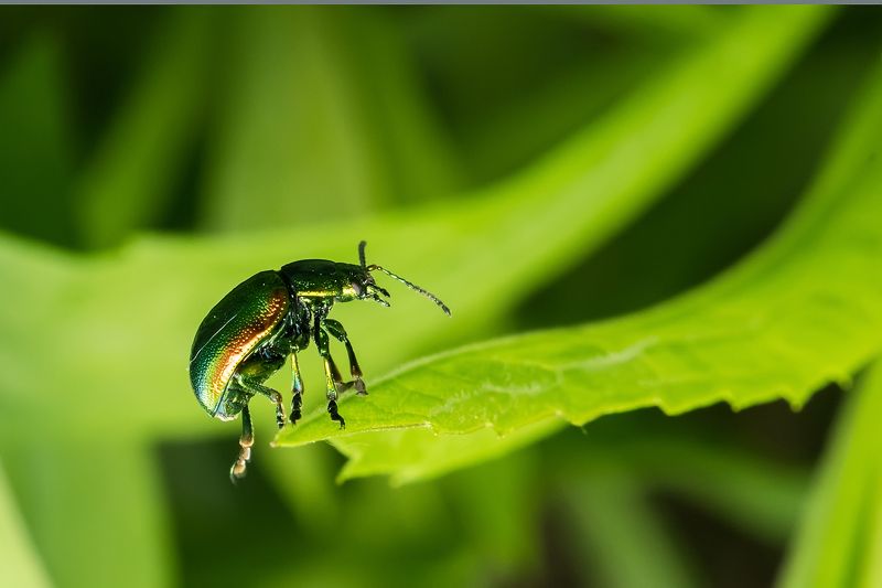 Акробат фото превью