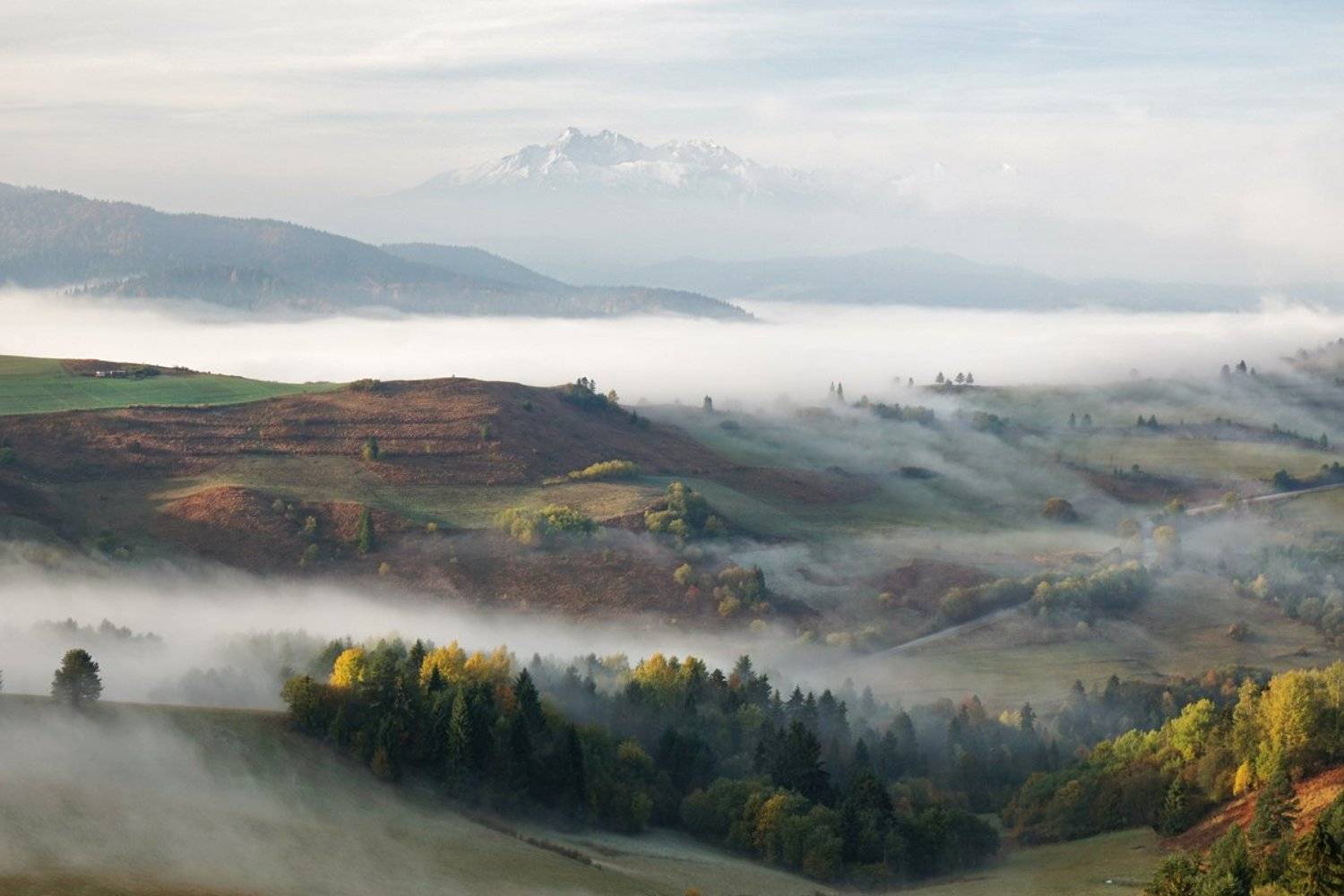 morning,sunrise,sunset,fog,haze,tatras,trees, Kobran