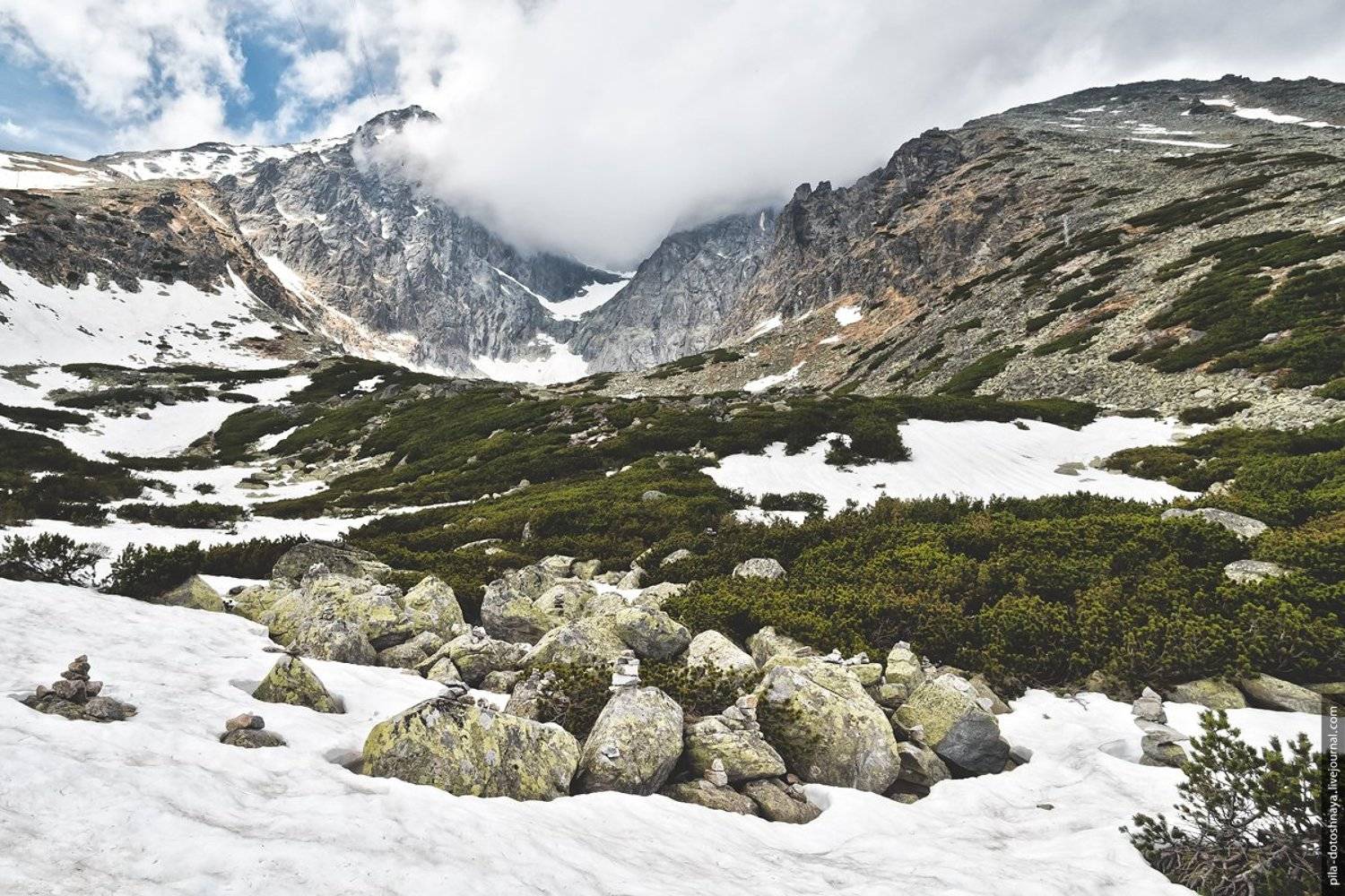 , Анна Аринова