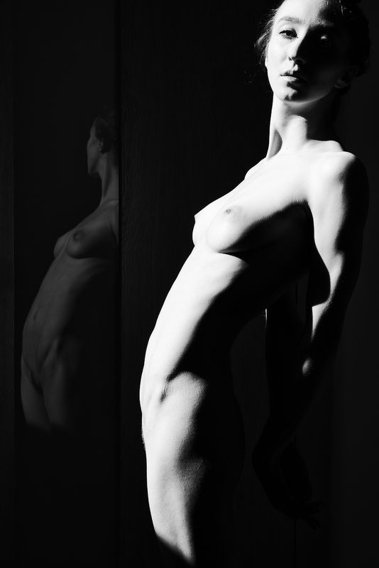 girl, woman, арт, портрет, portrait, женщина, bw, reflections I - отражения I фото превью