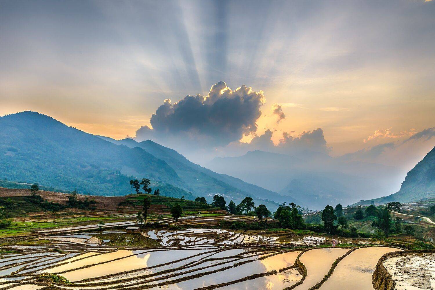 , Trần Ko&oacute;ng