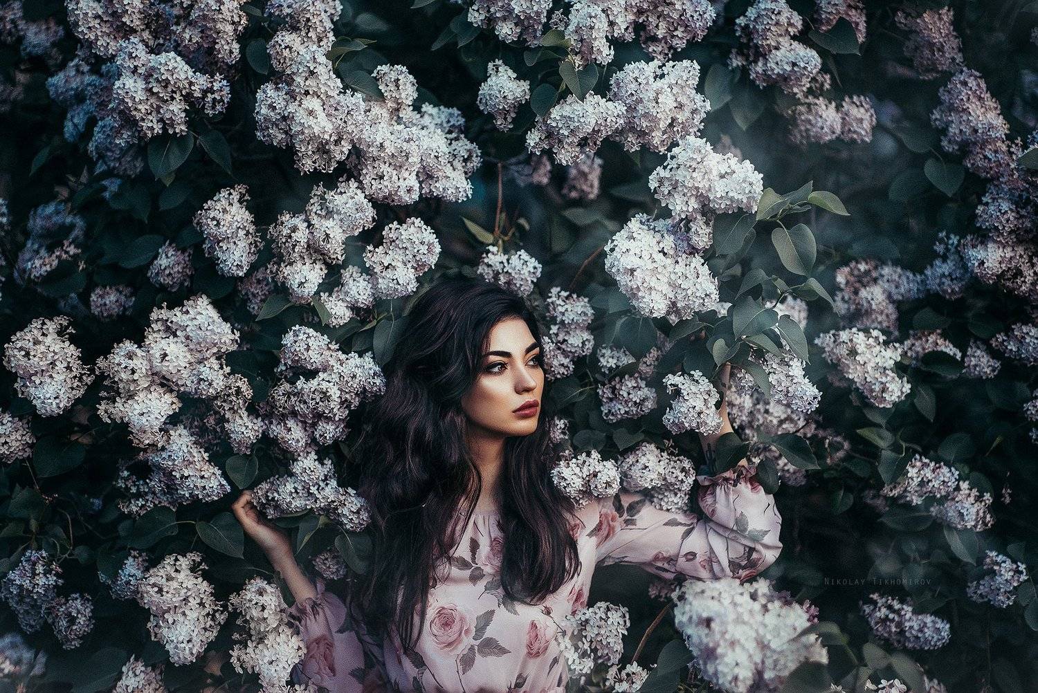 , Тихомиров Николай