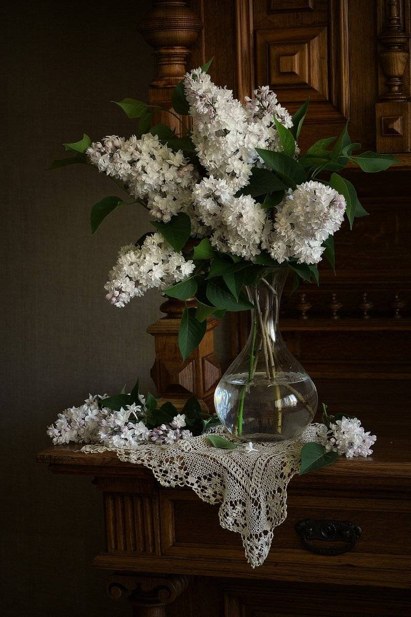 сергей алексеев, натюрморт, фото, Сергей Алексеев