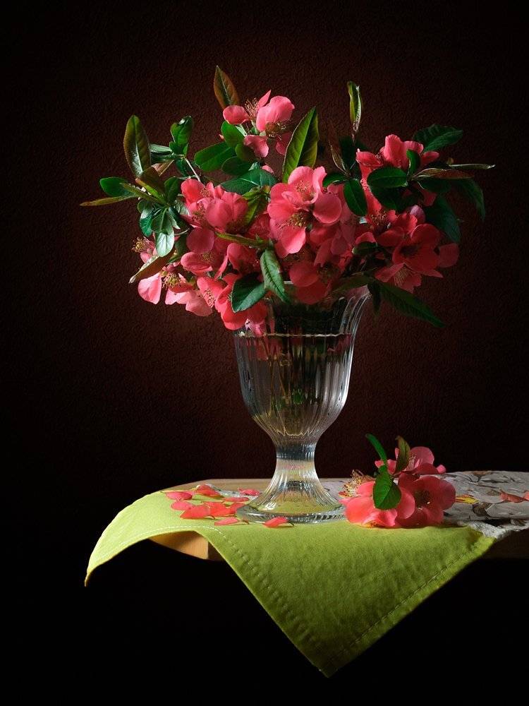 , Анжелика Королева