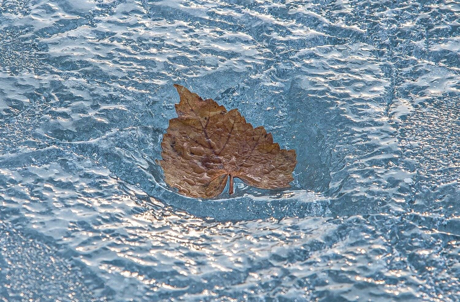 лёд, Евгений Дроботенко