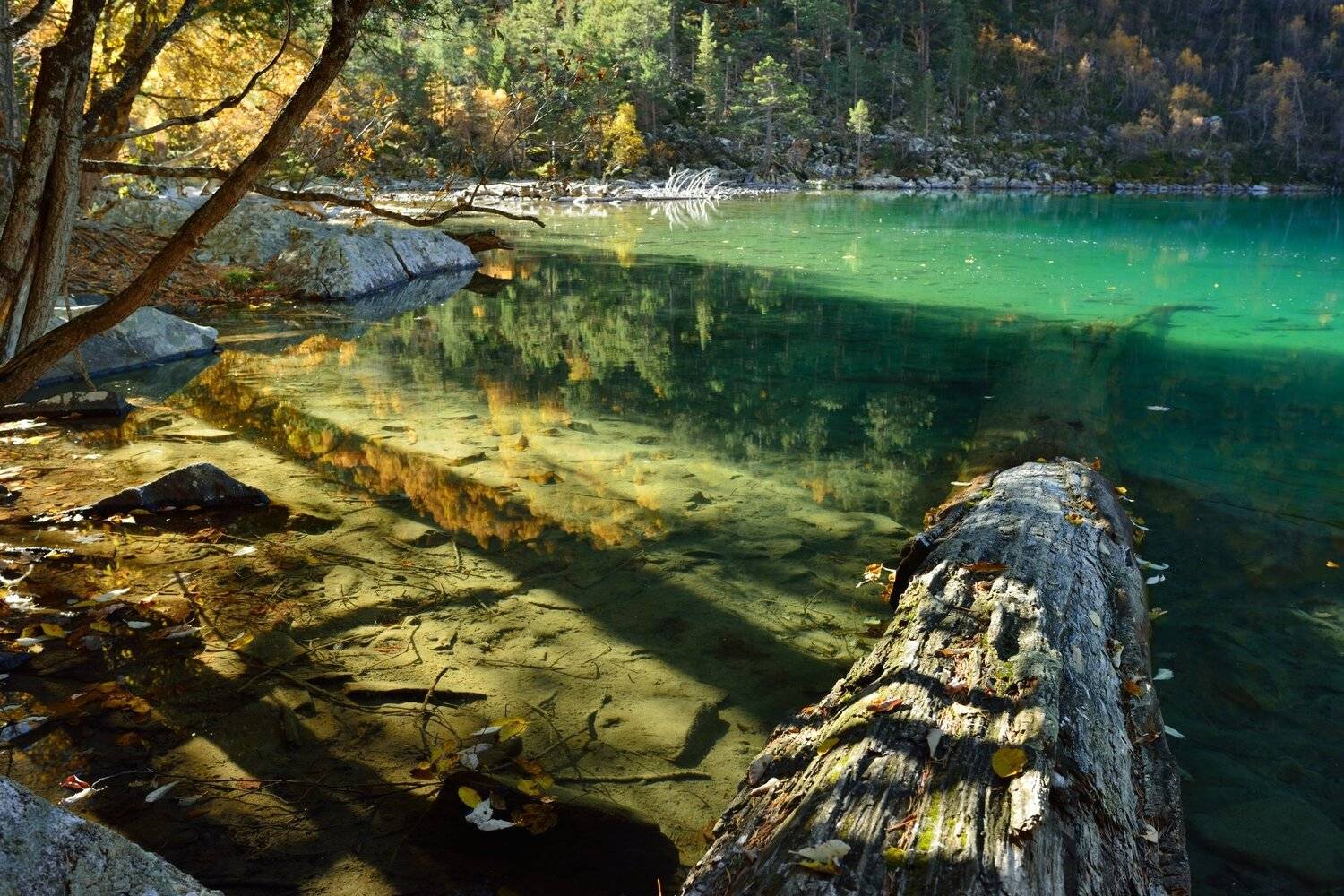 горы осень озеро утро, Александр Жарников