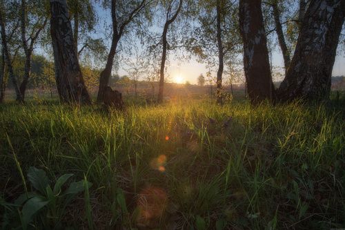 / Утро в подмосковье /