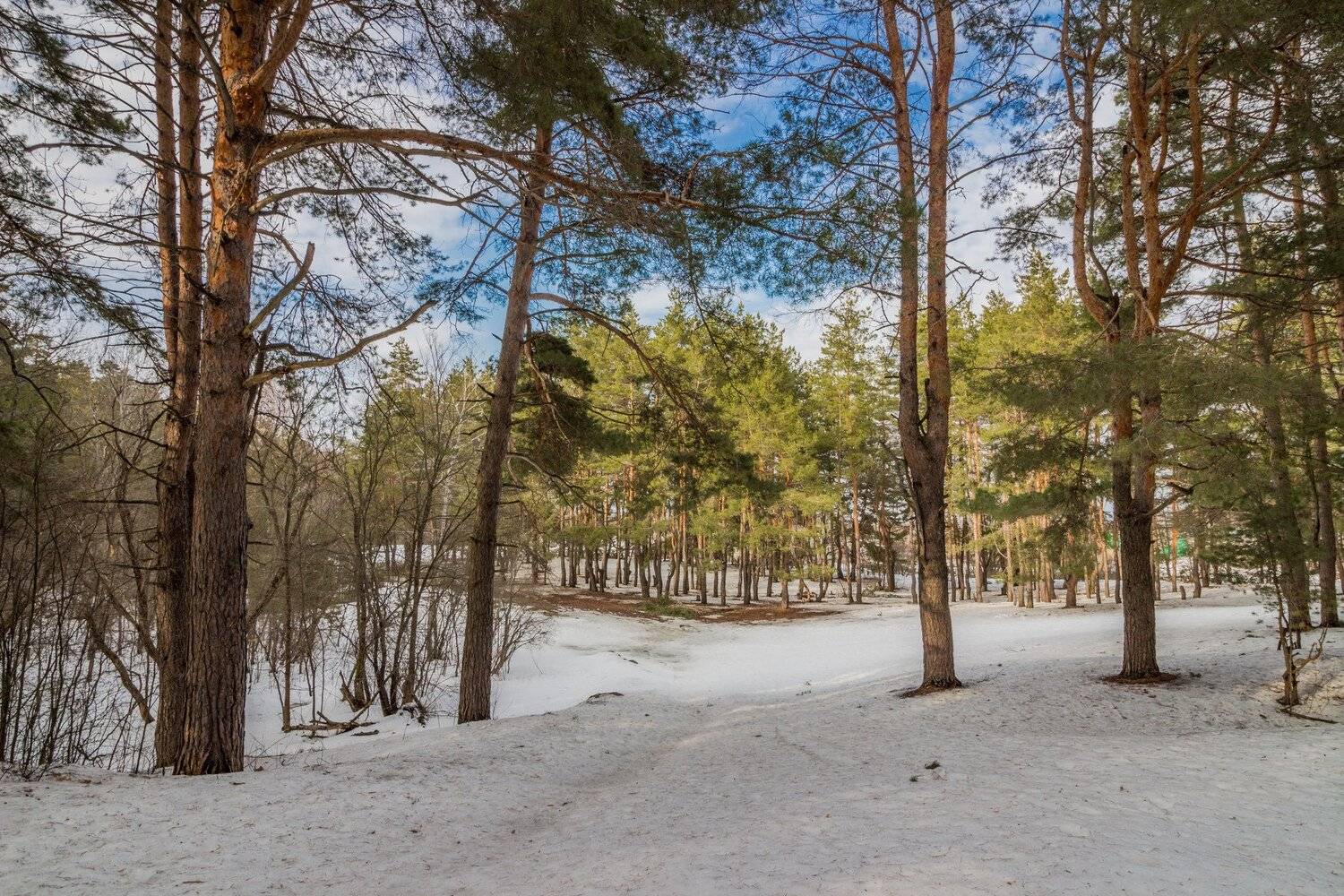 , Руслан Востриков