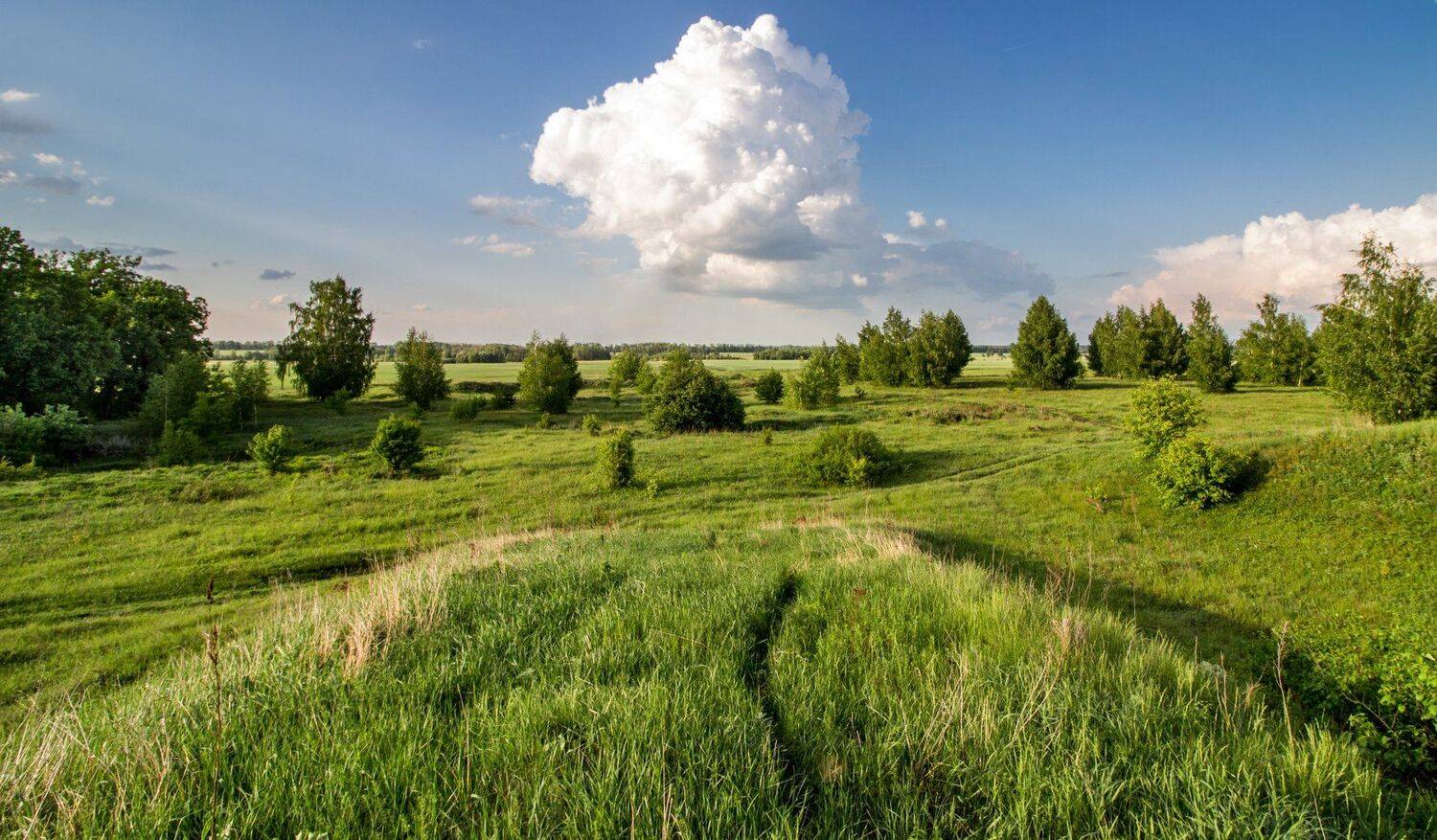 , Руслан Востриков