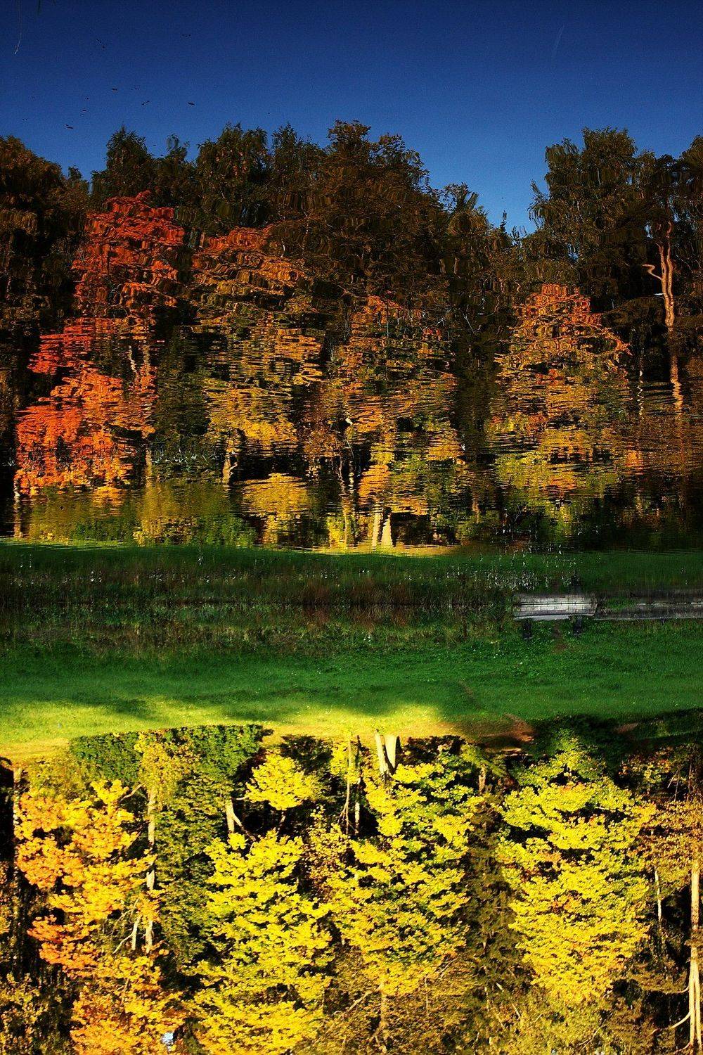 речка, лес, осень, природа, деревья, парк, Vladimir Kedrov