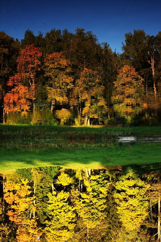 речка, лес, осень, природа, деревья, парк осень фото превью