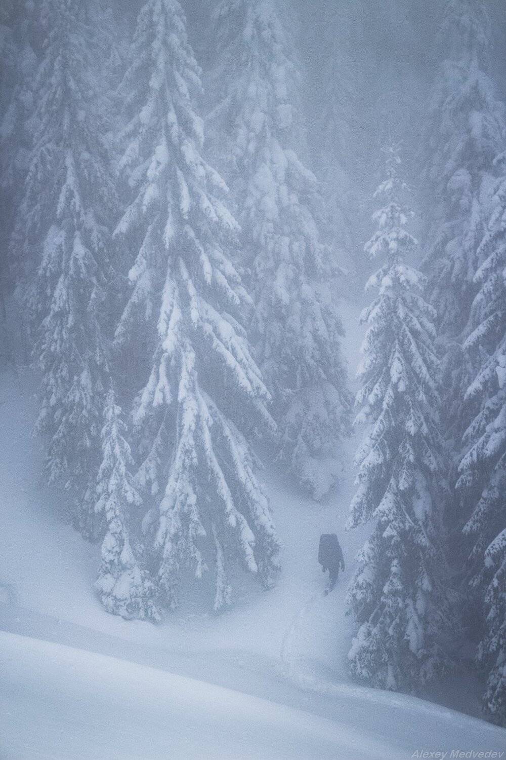 winter, cold, hut, house, forest, carpathains, man, Алексей Медведев