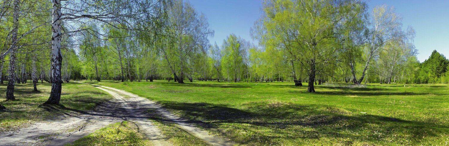 , Бусыгин Борис