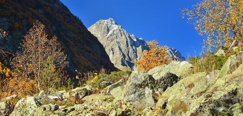 Осеннее утро