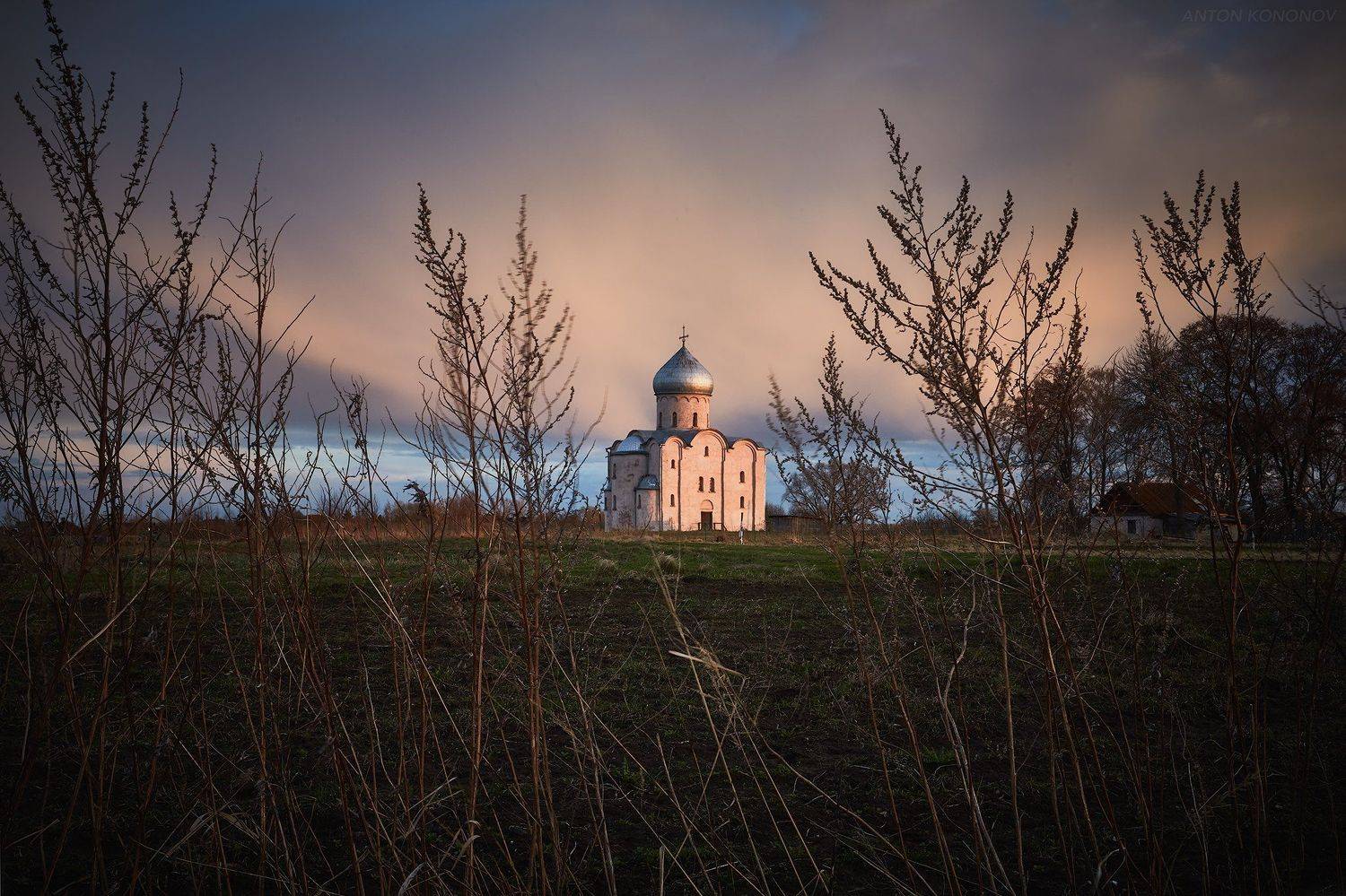 , Антон Кононов