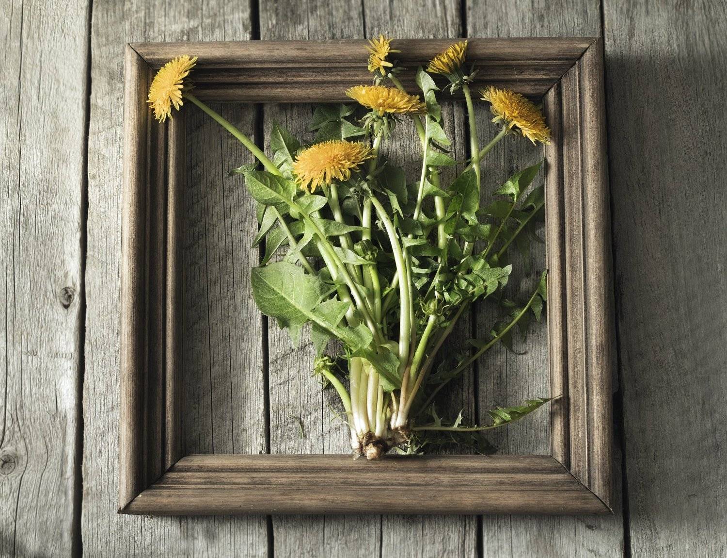 , Наталья Бочкарева